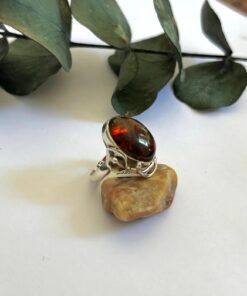 Anillo 8